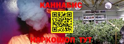 ПСИЛОЦИБИНОВЫЕ ГРИБЫ Ачхой-Мартан