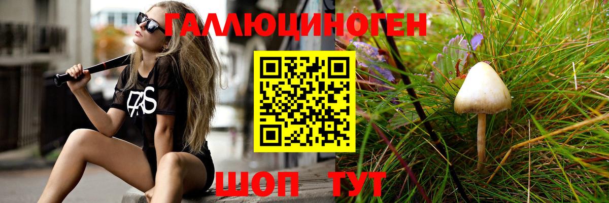 Моздок  Псилоцибиновые грибы ЛСД  Псилоцибиновые грибы Cubensis  Вход с VPN 